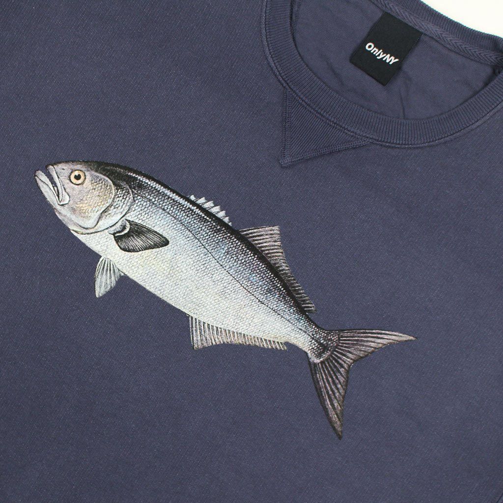 Bluefish Merchandise (@BluefishMerch) / X